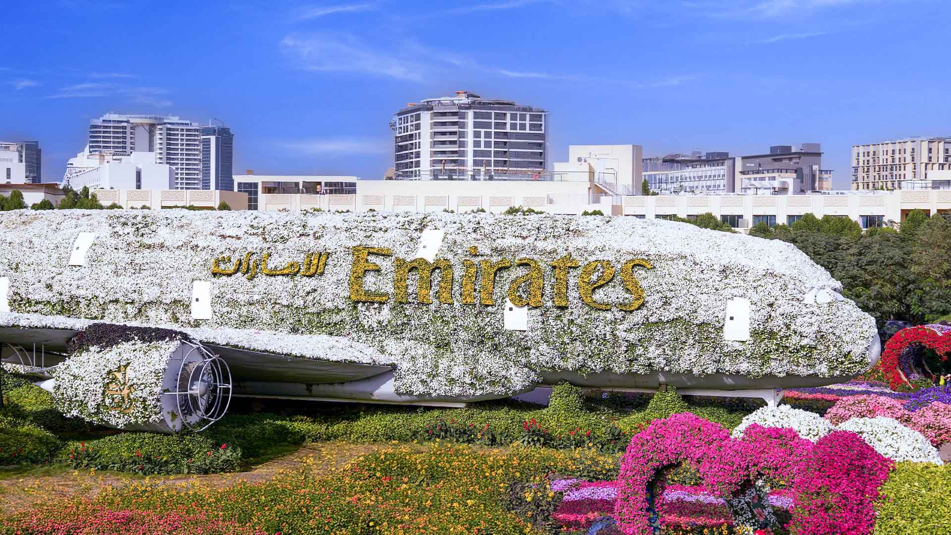 A380 floral display illuminated at night